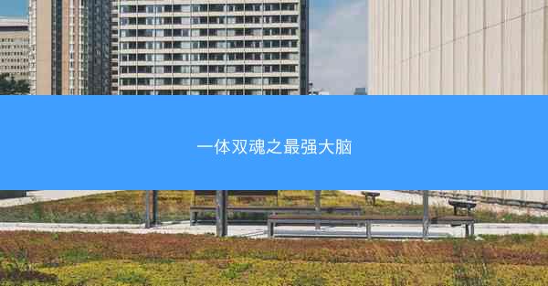 一体双魂之最强大脑