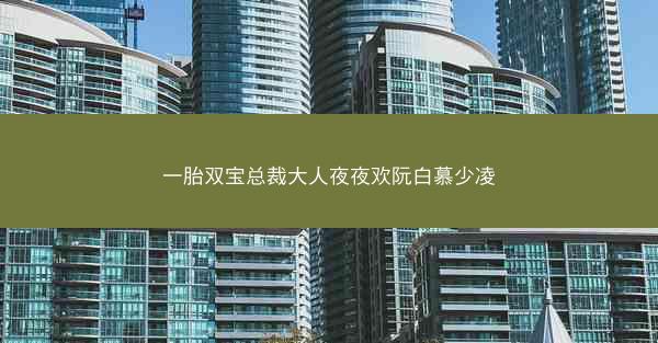 一胎双宝总裁大人夜夜欢阮白慕少凌