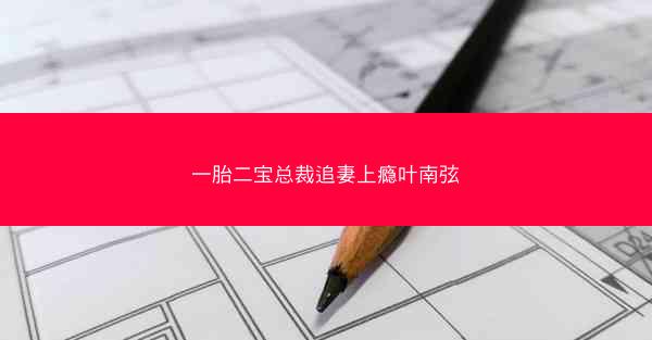一胎二宝总裁追妻上瘾叶南弦