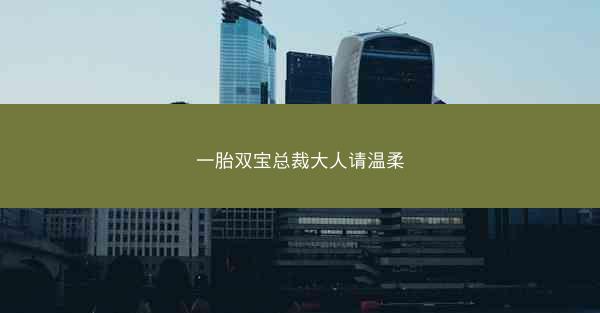一胎双宝总裁大人请温柔