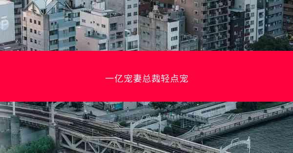 一亿宠妻总裁轻点宠