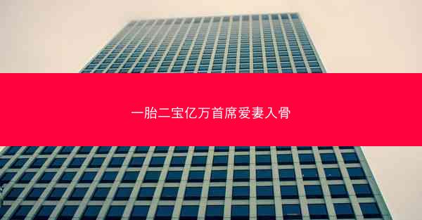 一胎二宝亿万首席爱妻入骨