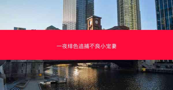 一夜绯色追捕不良小宠妻 一夜绯色追捕不良小宠妻
