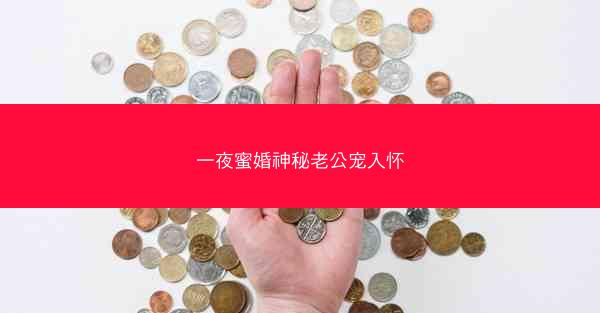 一夜蜜婚神秘老公宠入怀