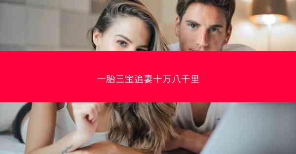 一胎三宝追妻十万八千里