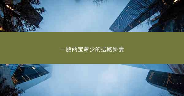 一胎两宝萧少的逃跑娇妻