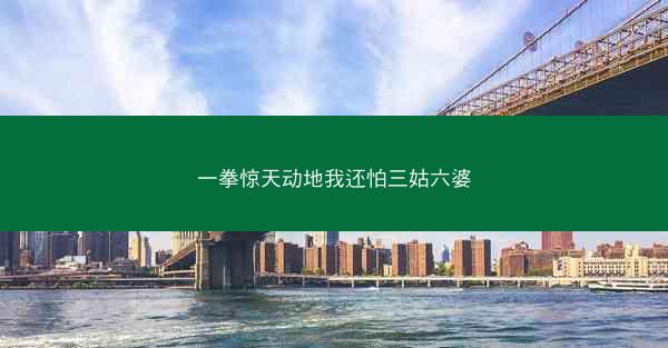 一拳惊天动地我还怕三姑六婆