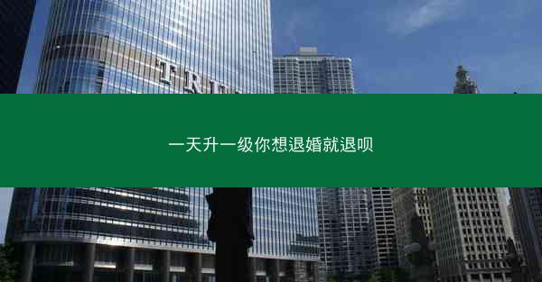 一天升一级你想退婚就退呗