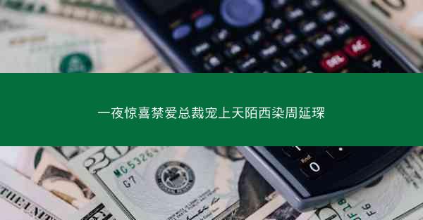 一夜惊喜禁爱总裁宠上天陌西染周延琛