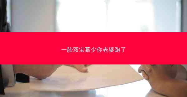 一胎双宝慕少你老婆跑了