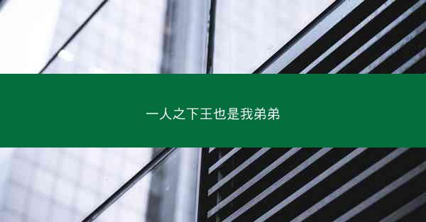 一人之下王也是我弟弟