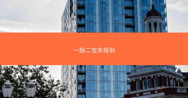 一胎二宝来报到