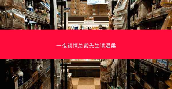 一夜锁情总裁先生请温柔