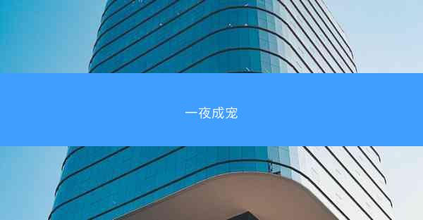 一夜成宠