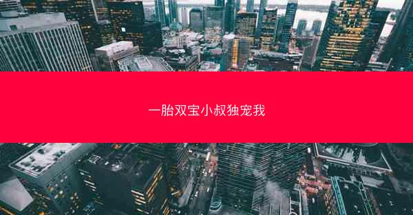 一胎双宝小叔独宠我
