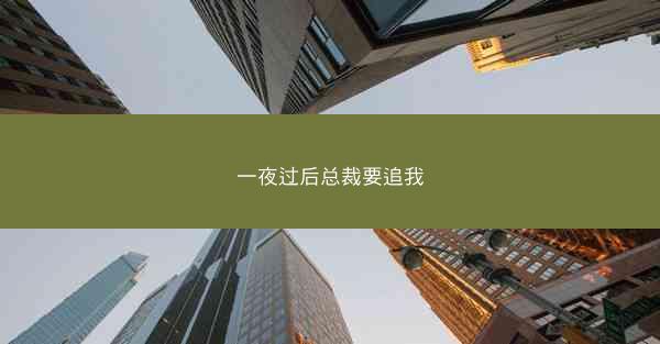 一夜过后总裁要追我