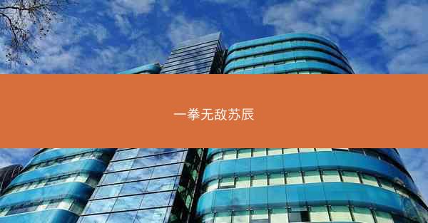 一拳无敌苏辰 一拳无敌苏辰