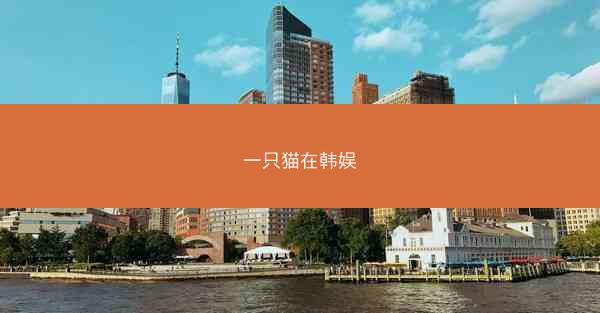 一只猫在韩娱