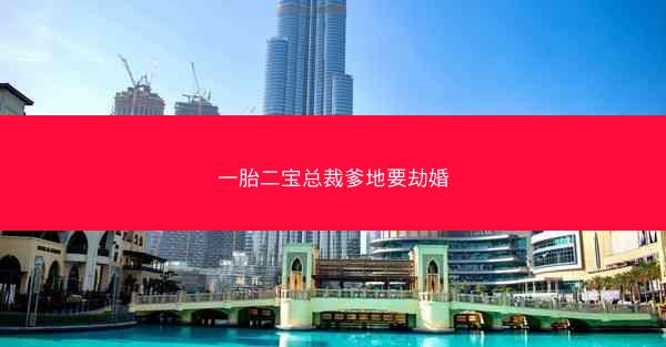 一胎二宝总裁爹地要劫婚