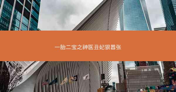 一胎二宝之神医丑妃狠嚣张