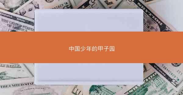 中国少年的甲子园