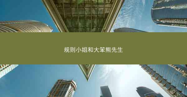 规则小姐和大笨熊先生