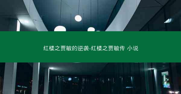 红楼之贾敏的逆袭-红楼之贾敏传 小说