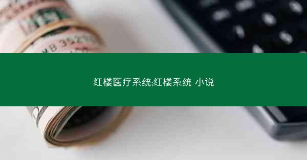 红楼医疗系统;红楼系统 小说