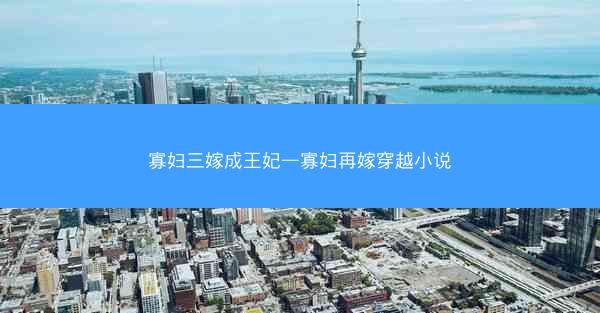 寡妇三嫁成王妃—寡妇再嫁穿越小说