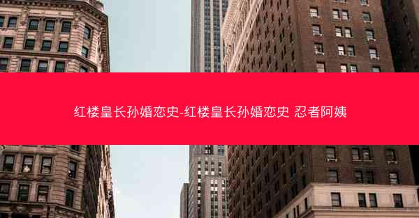 红楼皇长孙婚恋史-红楼皇长孙婚恋史 忍者阿姨