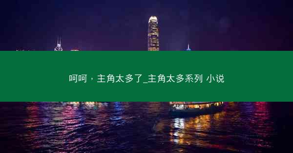 呵呵，主角太多了_主角太多系列 小说