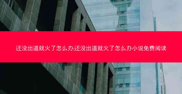 还没出道就火了怎么办;还没出道就火了怎么办小说免费阅读