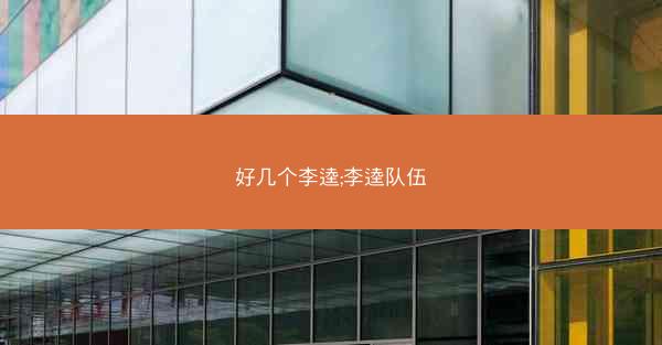 好几个李逵;李逵队伍