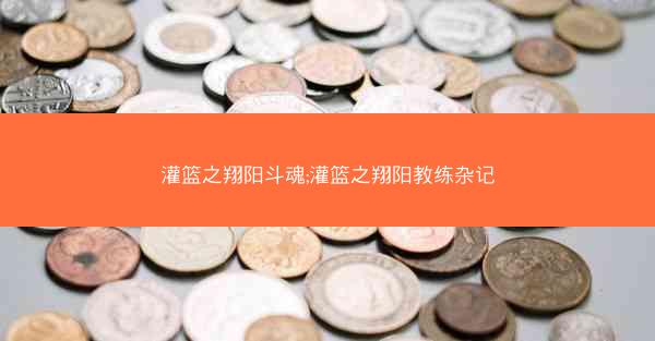 灌篮之翔阳斗魂;灌篮之翔阳教练杂记