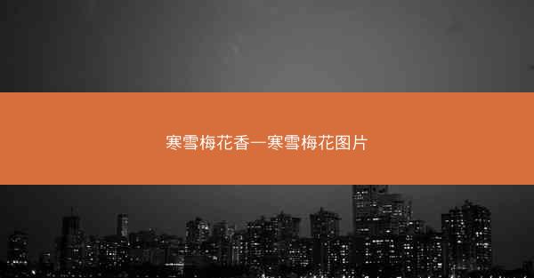 寒雪梅花香—寒雪梅花图片