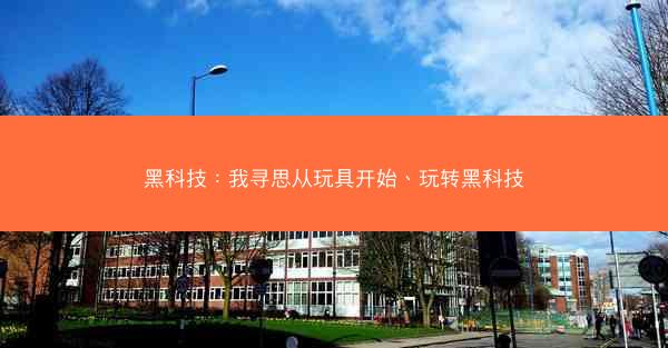 黑科技：我寻思从玩具开始、玩转黑科技