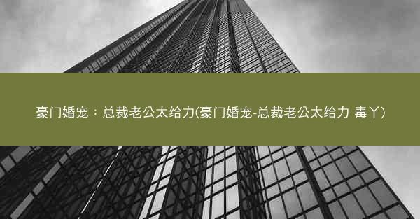 豪门婚宠：总裁老公太给力(豪门婚宠-总裁老公太给力 毒丫)