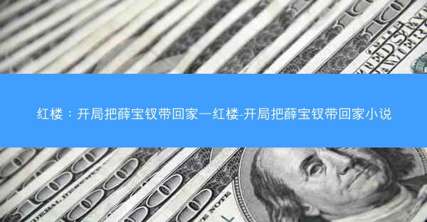 红楼：开局把薛宝钗带回家—红楼-开局把薛宝钗带回家小说