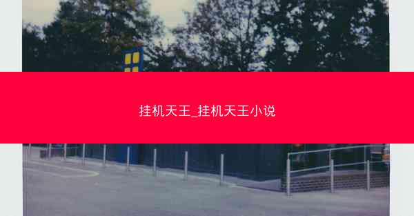 挂机天王_挂机天王小说