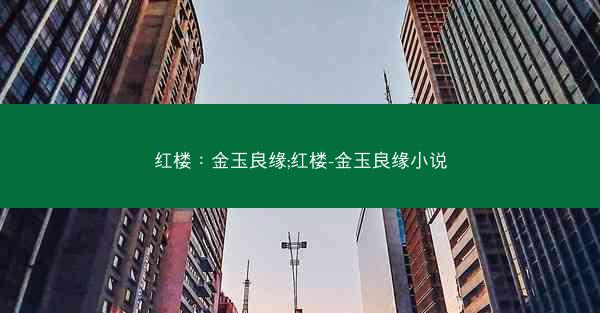 红楼：金玉良缘;红楼-金玉良缘小说