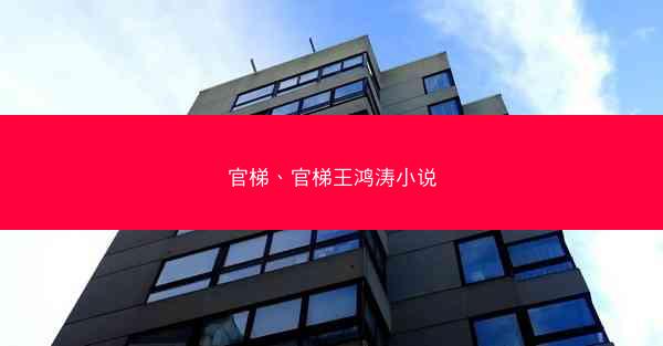 官梯、官梯王鸿涛小说