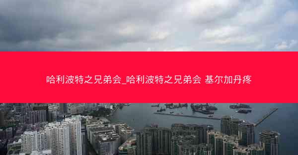 哈利波特之兄弟会_哈利波特之兄弟会 基尔加丹疼