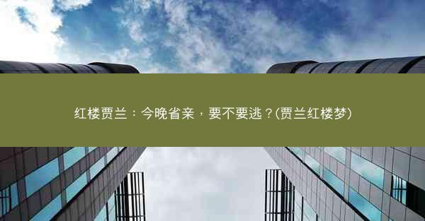 红楼贾兰：今晚省亲，要不要逃？(贾兰红楼梦)