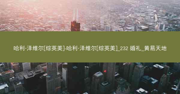 哈利·泽维尔[综英美]-哈利·泽维尔[综英美]_232 婚礼_黄易天地