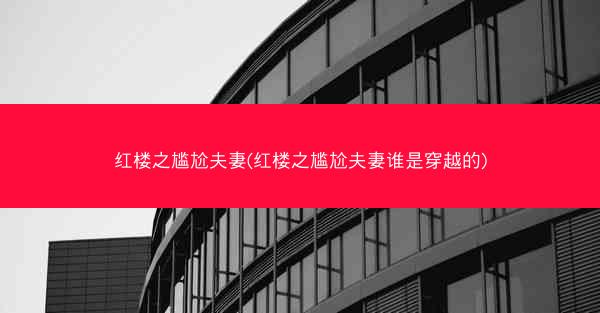 红楼之尴尬夫妻(红楼之尴尬夫妻谁是穿越的)
