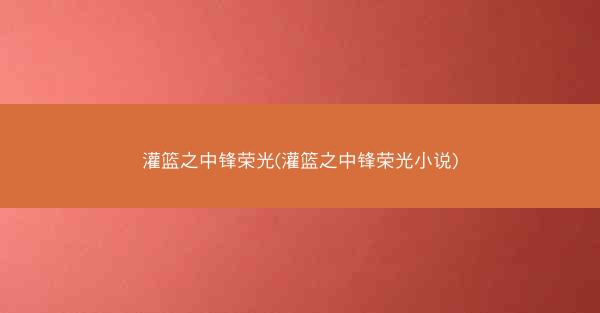灌篮之中锋荣光(灌篮之中锋荣光小说)