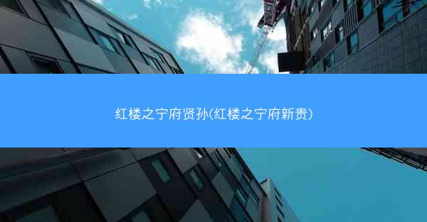 红楼之宁府贤孙(红楼之宁府新贵)