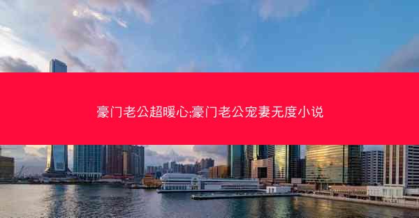 豪门老公超暖心;豪门老公宠妻无度小说