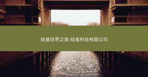 硅基世界之旅-硅基科技有限公司
