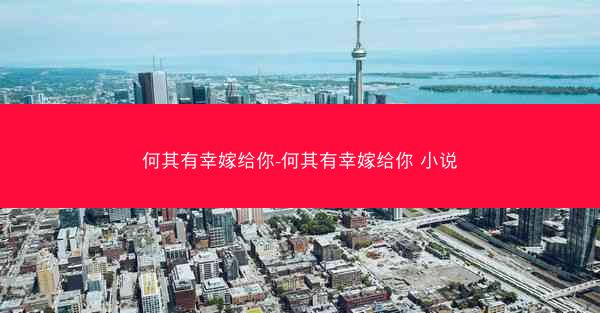 何其有幸嫁给你-何其有幸嫁给你 小说